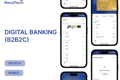 Digital Banking (B2B2C)
